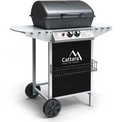 Cattara Party Point 99BB011