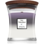 WoodWick Trilogy Amethyst Sky ароматна свещ с дървен фитил 275 гр