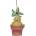 Nemesis Now Harry Potter Mandrake Hanging 9.5cm