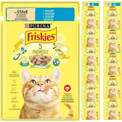 Friskies s lososom 26 x 85 g
