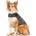ThunderShirt Bunda