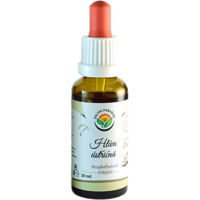 Salvia Paradise Hlíva ústřičná AF tinktura 30 ml