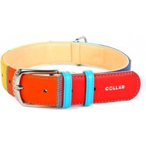 COLLAR Плосък кожен нашийник дъга 46 - 60см, 35мм