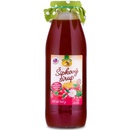 Natur Products Šípkový sirup s medom 0,5 l