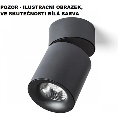 RENDL R12839
