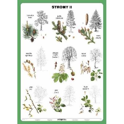 Stromy II - tabulka A5