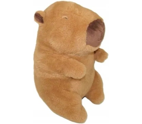 KAPYBARA KAPYBARA