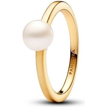 Pandora 163157C01