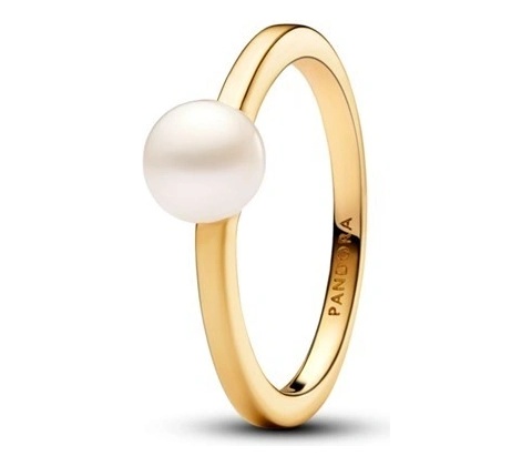 Pandora 163157C01