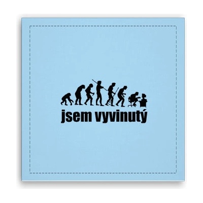 Fotoobraz 40x40 cm Jsem vyvinutý