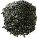 Biostan Biokron Slunečnice černá 5 kg