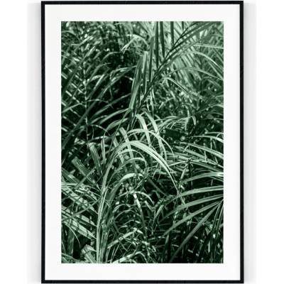 Plakát / Obraz Areka 50 x 70 cm Tiskové plátno Bez okraje – Zbozi.Blesk.cz