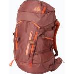 Helly Hansen Relay Recco 42 l dark cedar дамска туристическа раница