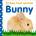 Baby Touch and Feel: Bunny | Dawn Sirett, Shannon Beatty