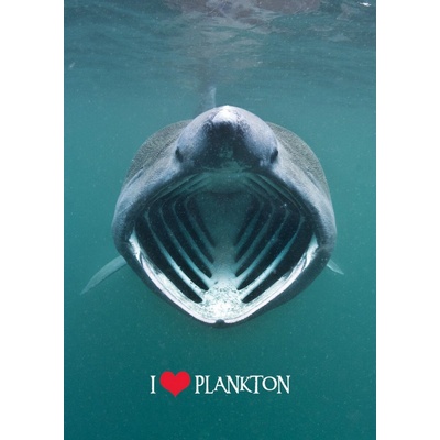 Pohlednice 3D Miluj plankton