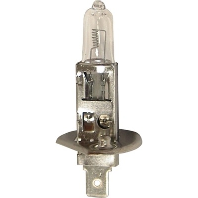 Starline H1 P14,5s 12V 55W
