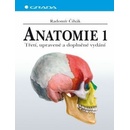Anatomie 1.