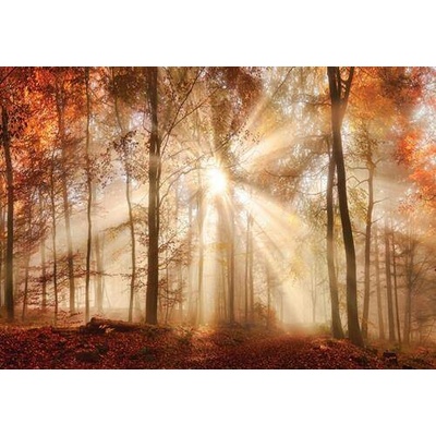 IMPOL TRADE 10471 Vliesová fototapeta 310471 rozměr 152,5 cm x 104 cm