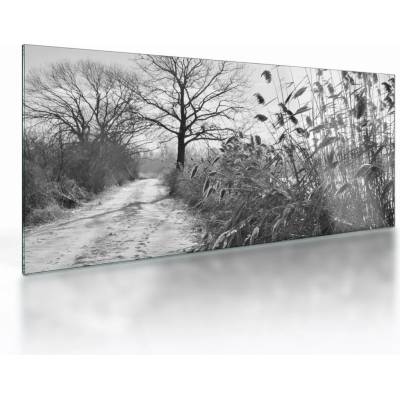 Sklenený obraz - Pole v zime, jednodielne 100x50 cm na skle
