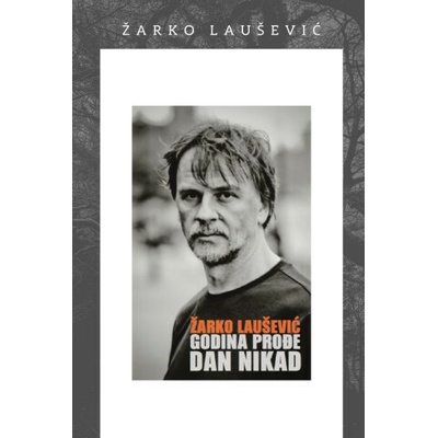 Godina prodje dan nikada