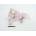 BEPPE Nico horse rose 30cm