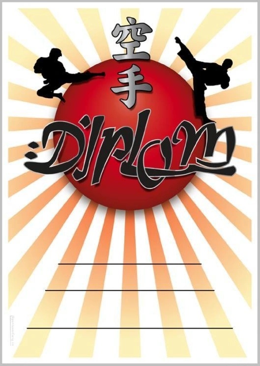 DK02a Diplom Karate