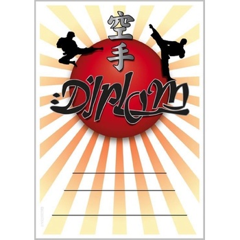 DK02a Diplom Karate