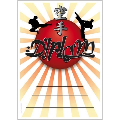 DK02a Diplom Karate