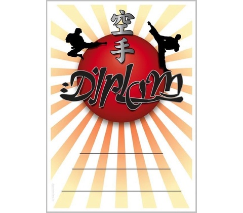 DK02a Diplom Karate
