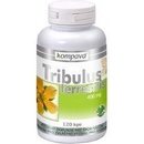 Vitamíny a doplňky stravy Tribulus terrestris 400 mg 120 kapslí
