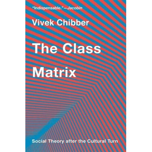 The Class Matrix - Social Theory after the Cultural Turn | Vivek Chibber (ISBN: 9780674297296)
