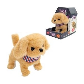 ASKATO Your pet dog