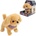ASKATO Your pet dog