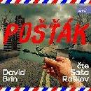 Pošťák (David Brin)