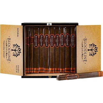 Esteban Carreras Bloodline Natural Stemma 1 ks