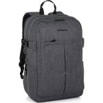 Bagmaster LION 25 B Grey