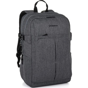 Bagmaster LION 25 B Grey