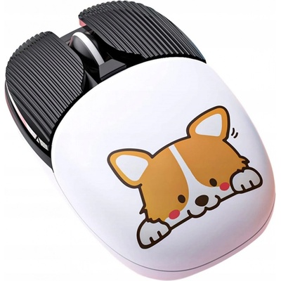DSJ A10 CORGI