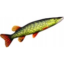 GABY ryba vankúš ŠTEFÁNIK 80cm