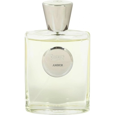 Giardino Benessere Amber parfémovaná voda unisex 100 ml