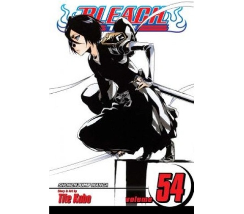 Bleach Kubo Tite