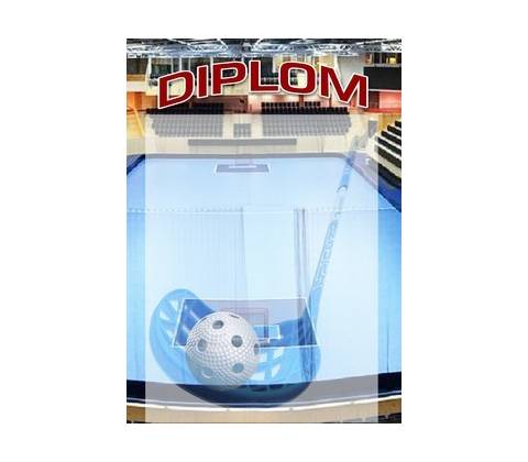 diplom 74