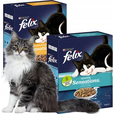 Felix Seaside Sensations s lososom a zeleninou 1 kg