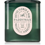 Paddywax Vista Cactus Flower & Aloe ароматна свещ 340 гр