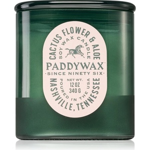 Paddywax Vista Cactus Flower & Aloe ароматна свещ 340 гр