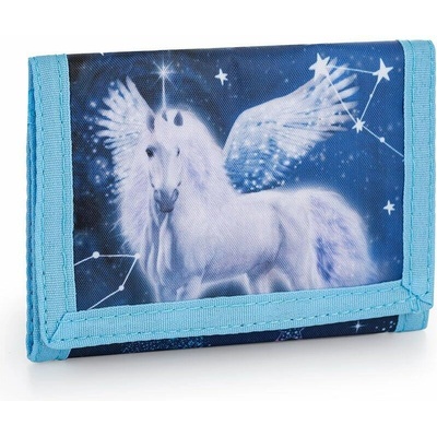 Karton P+P Pegas 9-57824