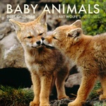 Earth Aware Editions 2026 Baby Animals Wall Calendar | Wolfe, Art