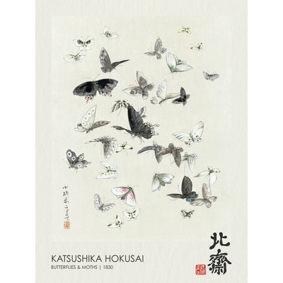 Plagát, Obraz - Butterflies & Moths (1830), Katsushika Hokusai, 30 × 40 cm