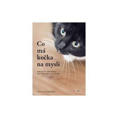 Co má kočka na mysli - Brigitte Rauth-Widmann