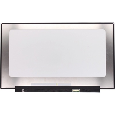 LCD displej display Dell Alienware M17 R2 17.3" 1920x1080 WUXGA Full HD LED 30pin Slim (eDP) IPS matný povrch